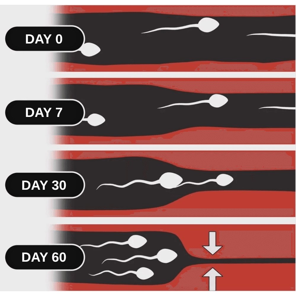 Illustration of progress and results from consistent training